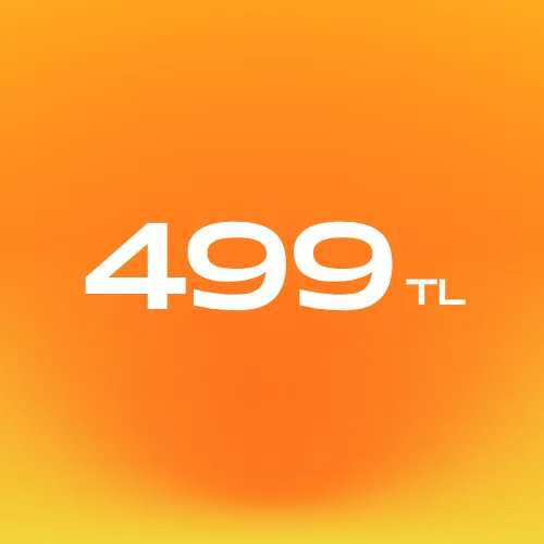 399-499 TL